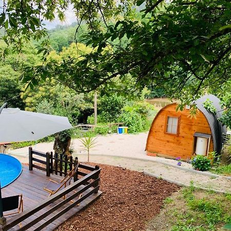 Gallas Pod House Vouzela Ngoại thất bức ảnh